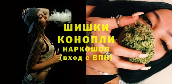 гидра Пересвет