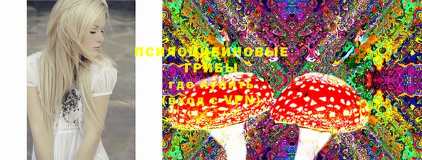 тгк Переславль-Залесский