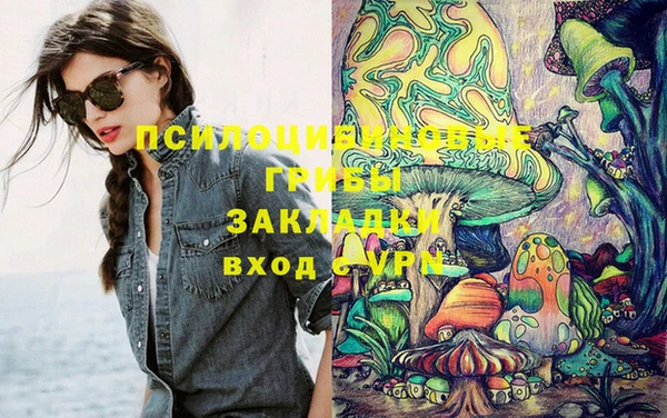 дживик Пестово