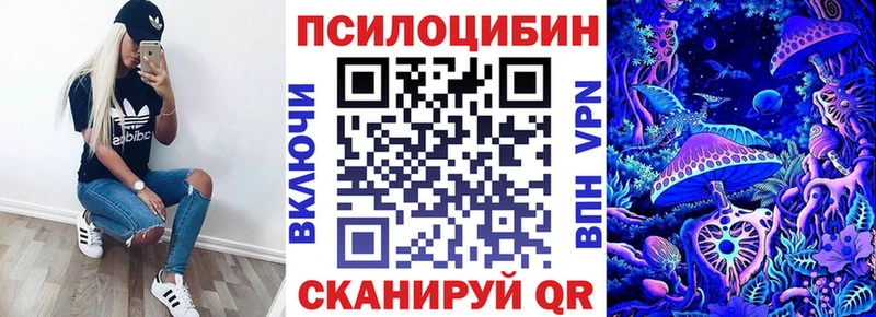 Галлюциногенные грибы Psilocybine cubensis  наркота  Правдинск 